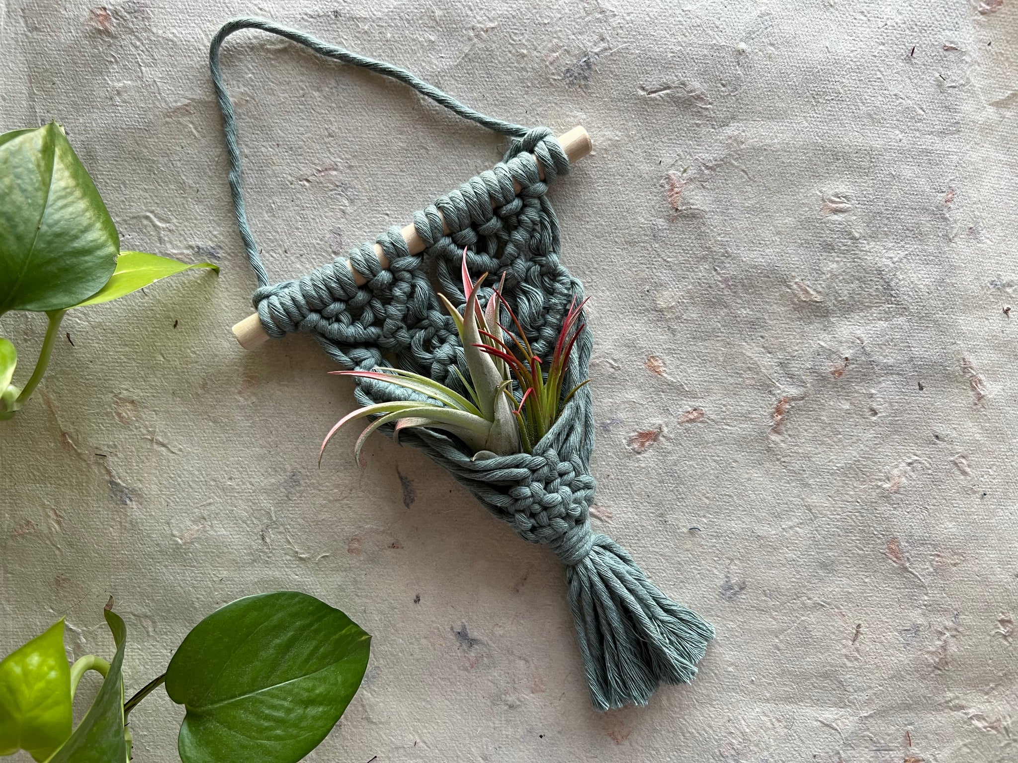 macrame air plant hanger pattern Macramé Air Plant Hanger – Macramade KC